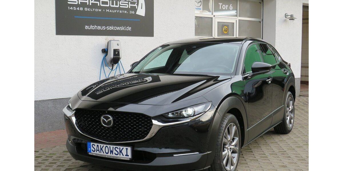 Mazda CX-30 73.005 km 20.990 &euro; Schwielowsee OT Geltow 14548