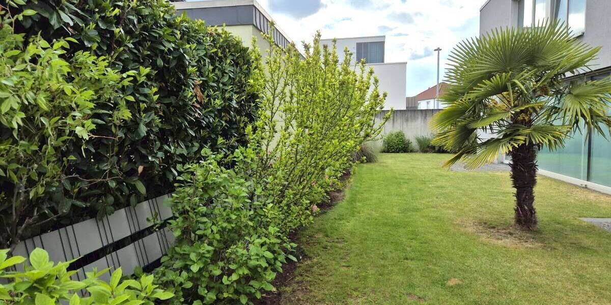 Einfamilienhaus Dormagen Delhoven - 6 Zimmer, 207 m&sup2;, 2.400&euro; | Angebot:26695298