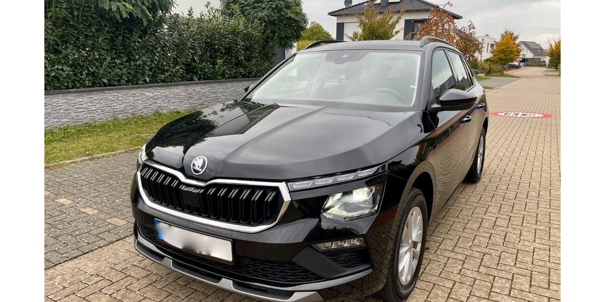 Skoda Kamiq 55.000 km 21.750 € Wolfenbüttel 38302