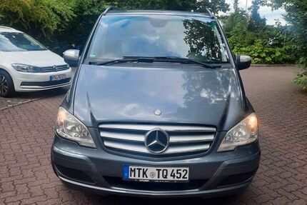 Mercedes Viano