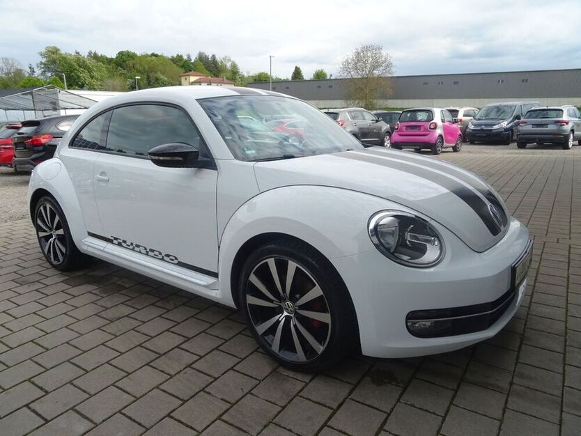 Beetle