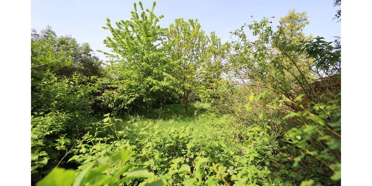 Grundstück Swisttal / Odendorf Odendorf - 320.000&euro; | Angebot:19311588