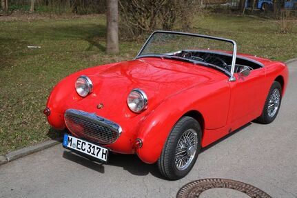 Austin Healey Andere