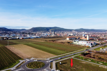Grundstück in Neustadt an der Weinstraße 1.750.000 € 5000 m²