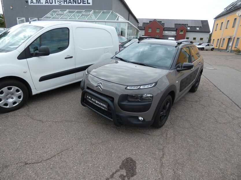 C4 Cactus