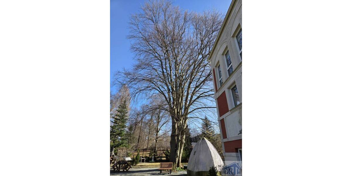 Mehrfamilienhaus, Wohnhaus Neugersdorf Neugersdorf - 1 Zimmer, 790.000&euro; | Angebot:26117977