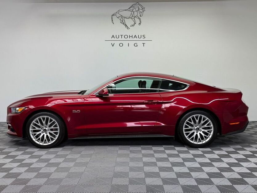 Mustang