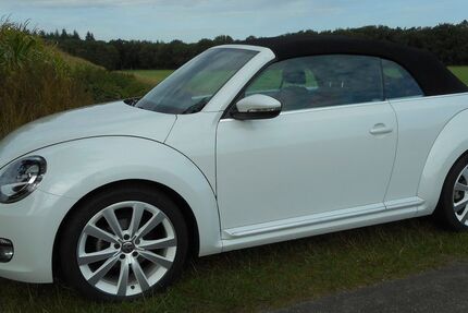 VW Beetle 60.256 km 18.500 € Wardenburg 26203