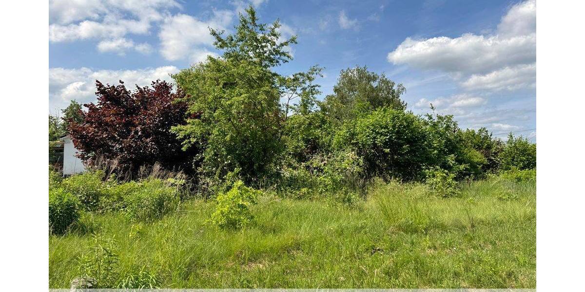 Grundstück Oberkrämer / Schwante Schwante - 115.000&euro; | Angebot:26779027