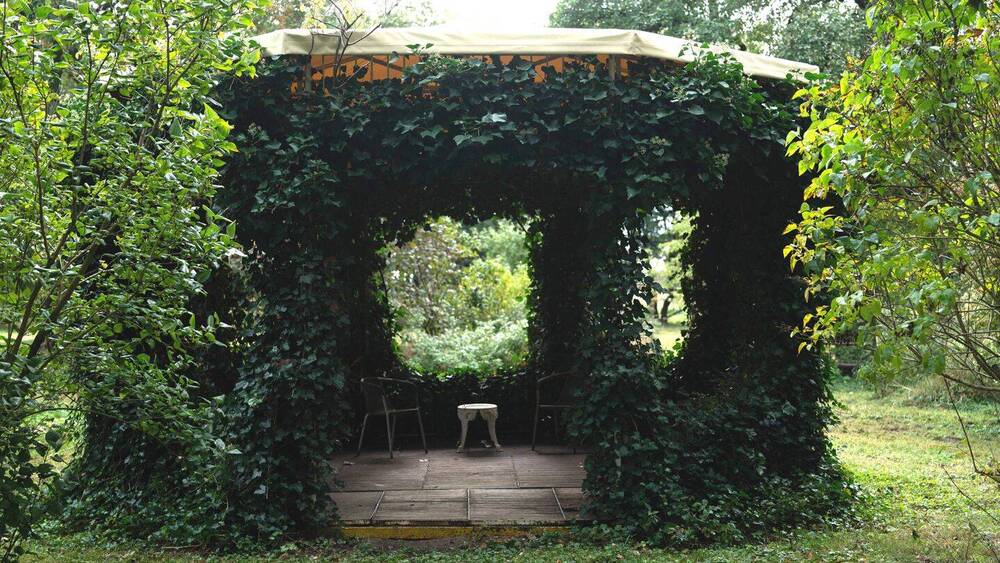 Einfamilienhaus Zapel - 2 Zimmer, 889 m&sup2;, 750.000&euro; | Angebot:25835244