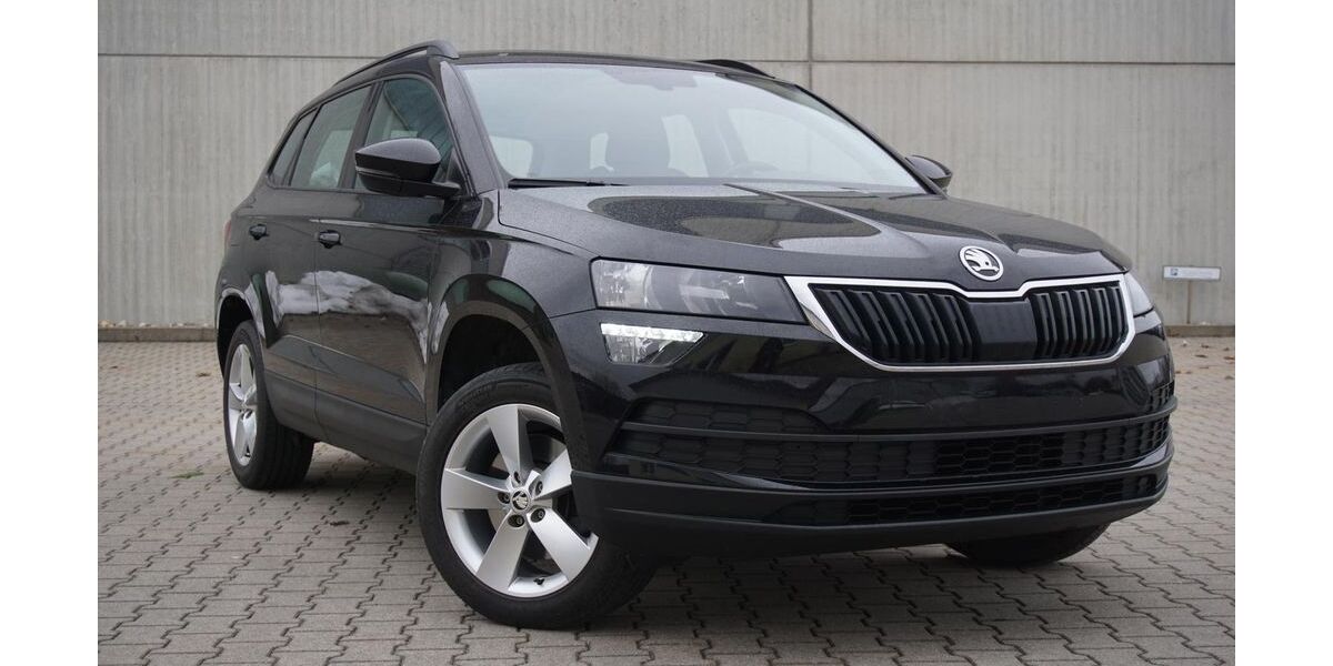 Skoda Karoq 119.987 km 16.950 &euro; Parkstetten 94365