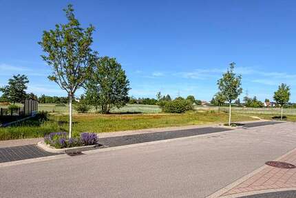 Grundstück Linkenheim-Hochstetten Hochstetten - 375.000&euro; | Angebot:26864458