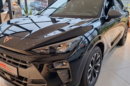 Cupra Terramar 1.074 km 37.450 &euro; Eggesin 17367