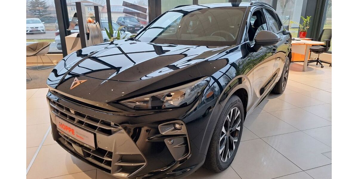 Cupra Terramar 1.074 km 37.450 &euro; Eggesin 17367