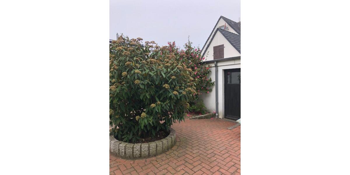 Doppelhaushälfte Hannover Misburg-Anderten - 7 Zimmer, 135 m&sup2;, 358.000&euro; | Angebot:24351632