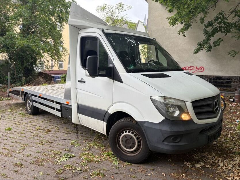 Sprinter