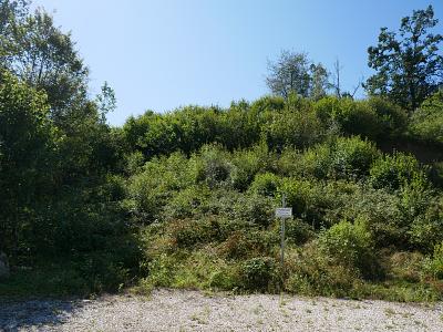 INVESTOREN: BAU EINES MEHRFAMILIENHAUS ODER 2 DHH - Grundstück Regenstauf | Angebot:26119909