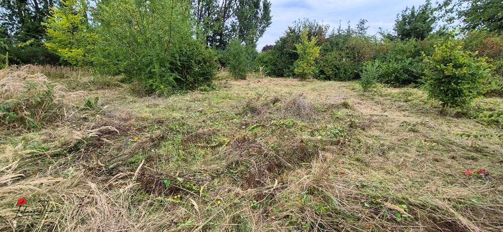 Bauträgerfreies Grundstück zimmer