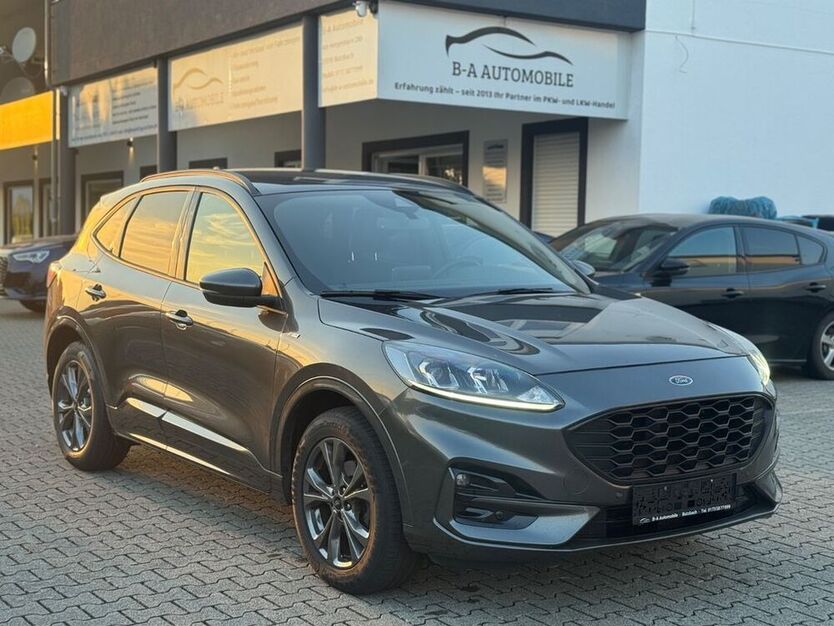 Kuga