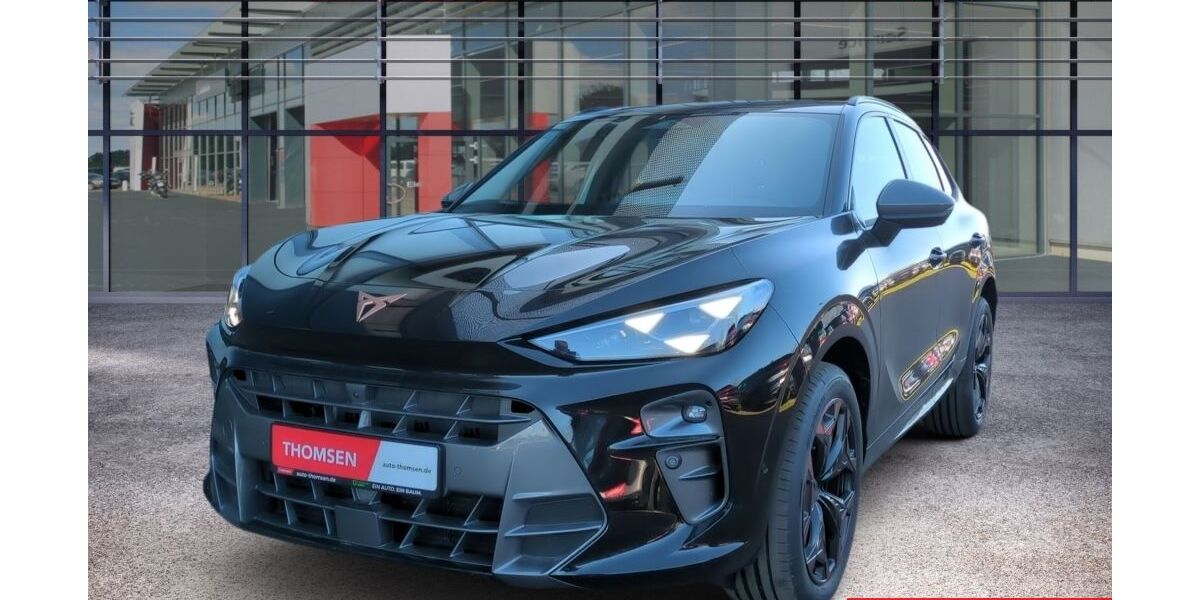 Cupra Terramar 6.000 km 36.475 &euro; Seevetal 21217