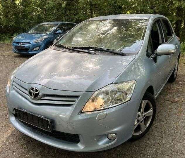 Auris