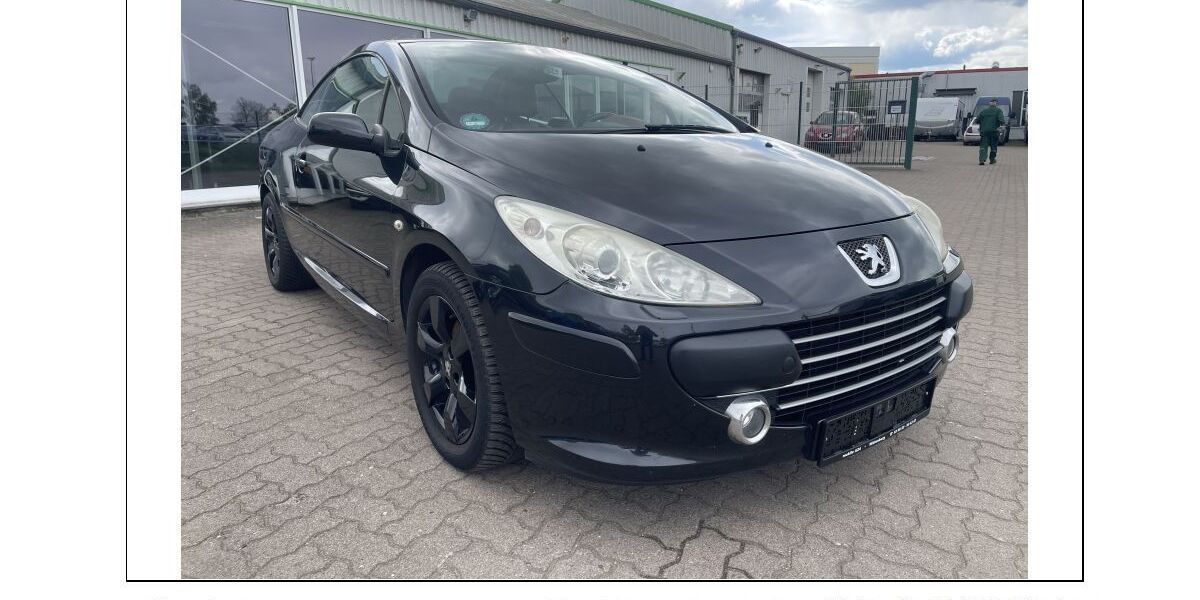 Peugeot 307 151.740 km 3.999 &euro; Wittenburg 19243