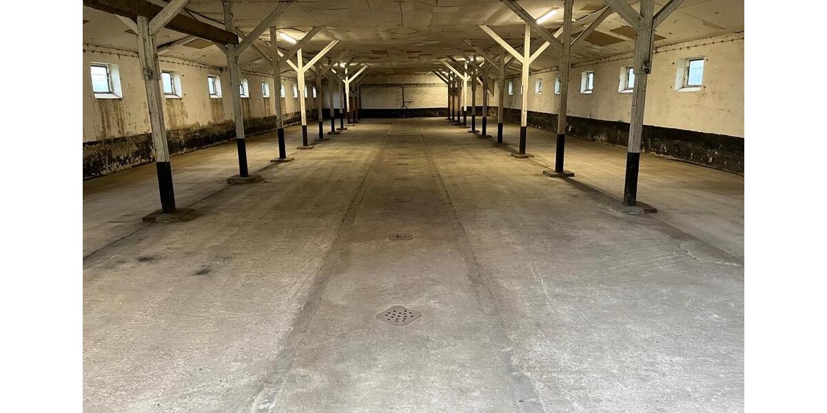 Gewerbeobjekt Nordstemmen - 900&euro; | Angebot:24705892