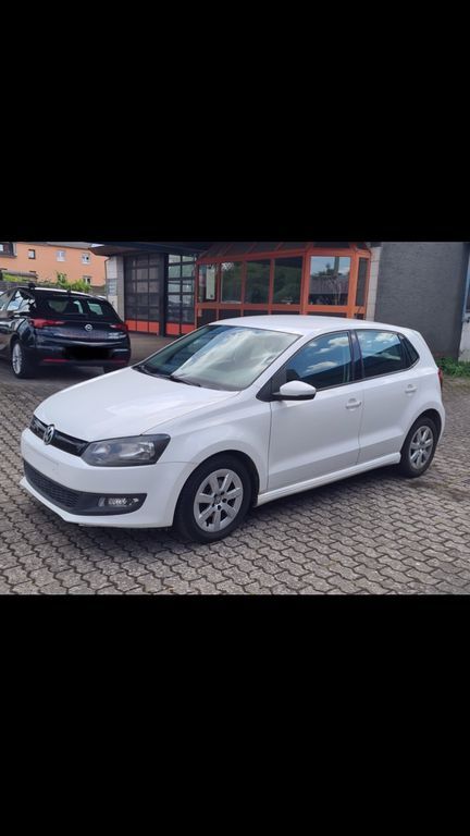 Polo