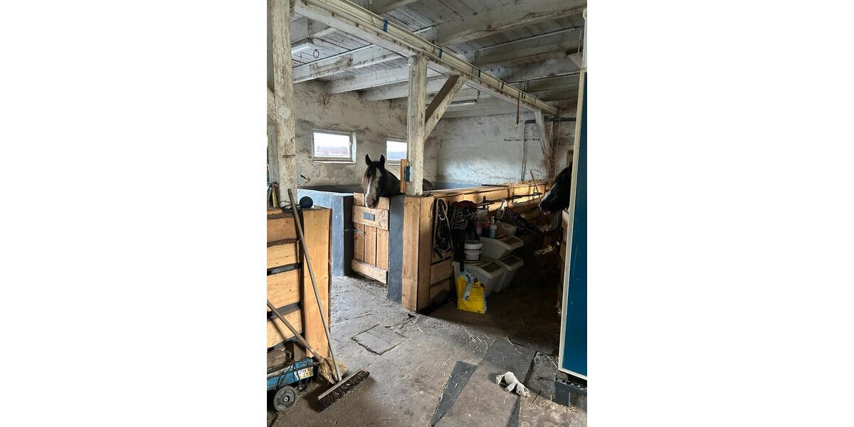 Einfamilienhaus Dassow - 6 Zimmer, 124 m&sup2;, 175.500&euro; | Angebot:27011837