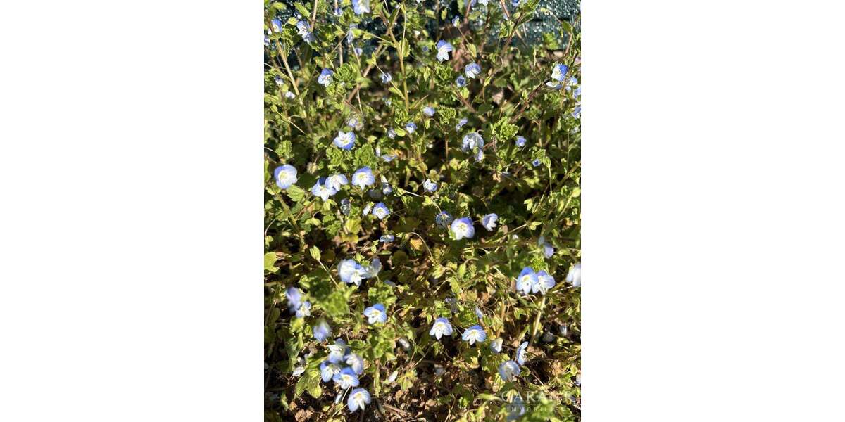 Grundstück Neusäß - 3.100.000&euro; | Angebot:25865957