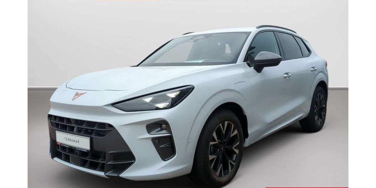 Cupra Terramar 5.000 km 42.985 &euro; Kaltenkirchen 24568