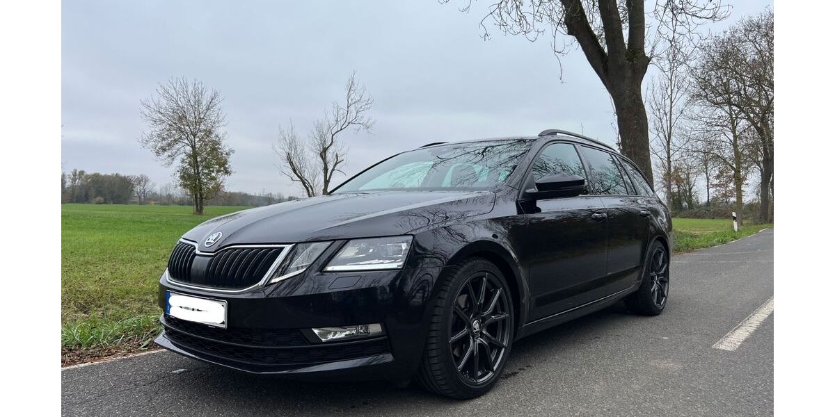 Skoda Octavia 100.665 km 16.300 &euro; Gründau 63584