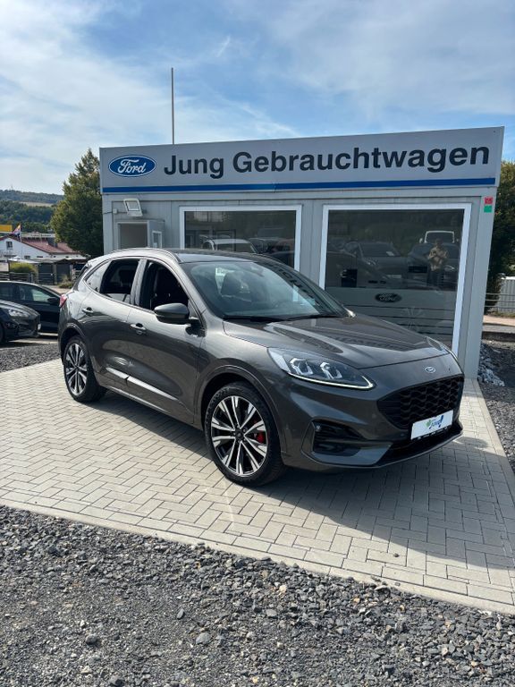 Kuga