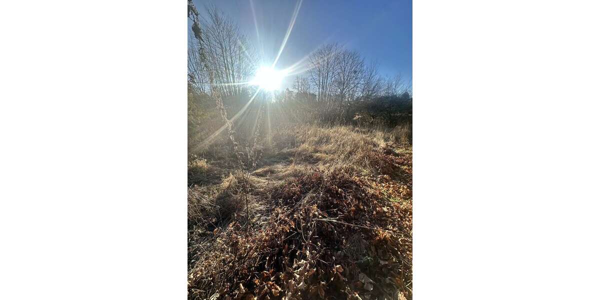 Grundstück zu verkaufen in Wennigsen 179.000 € 690 m² zimmer