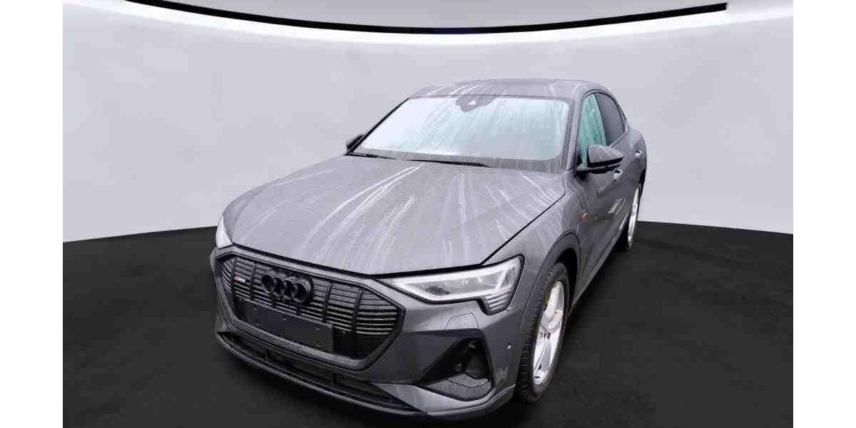 Audi e-tron 49.912 km 37.990 &euro; Hamburg 22047