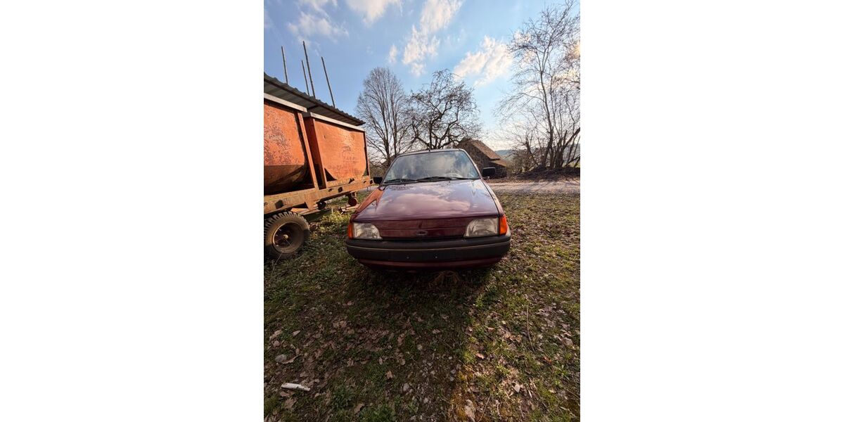 Ford Fiesta 90.710 km 600 &euro; Ebhausen 72224