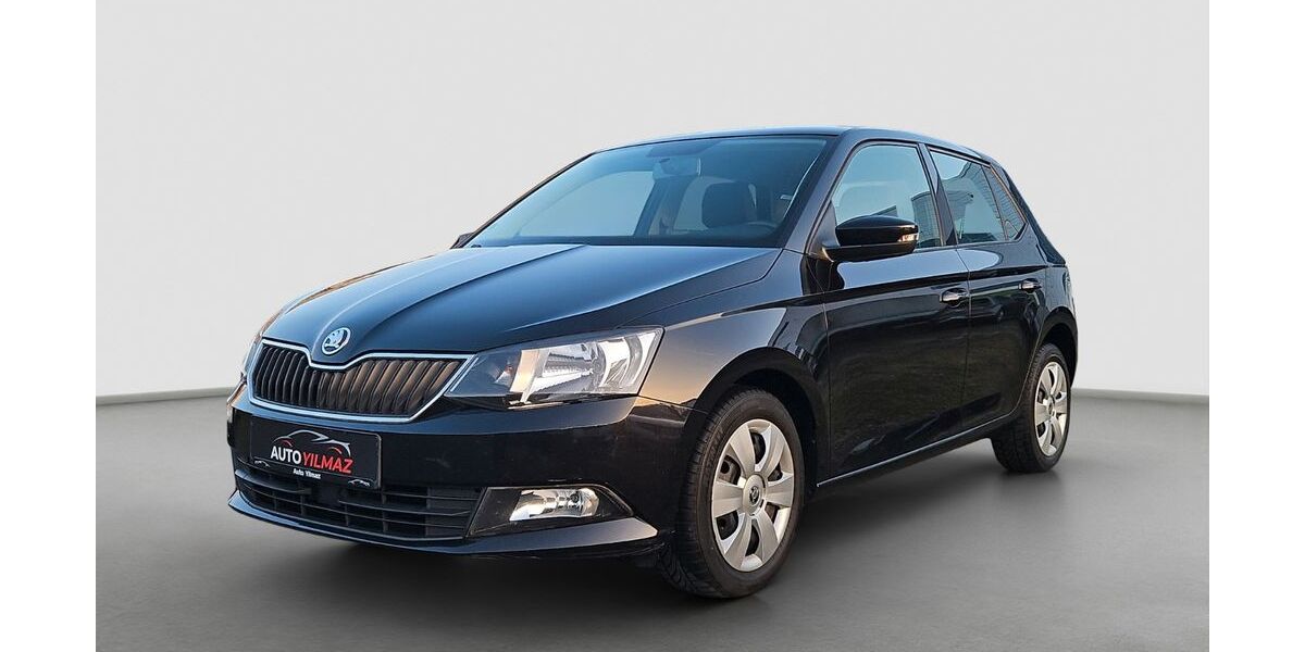 Skoda Fabia 149.990 km 6.290 &euro; Rüsselsheim am Main 65428