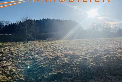 Grundstück zu verkaufen in Hellenthal 50.000 € 546 m² zimmer