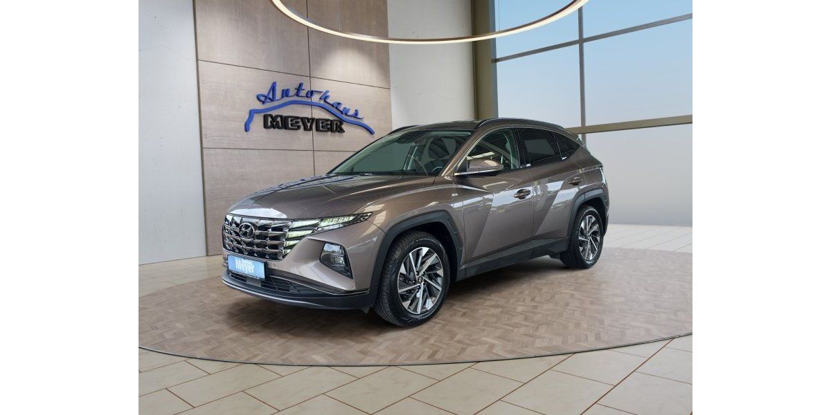 Hyundai TUCSON 73.800 km 20.800 &euro; Hohenwarsleben bei Magdeburg 39326
