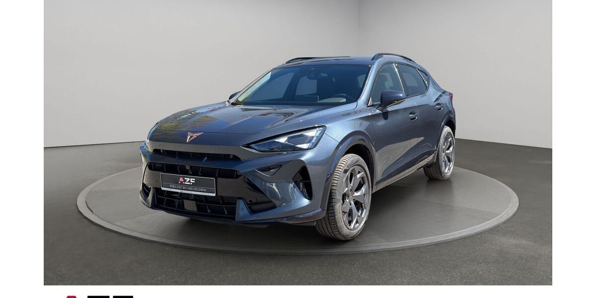 Cupra Formentor 16.919 km 29.890 &euro; Flensburg 24941