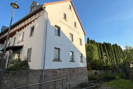 Charmante Wohnung in historischer Mühle mit Blick ins Taubertal