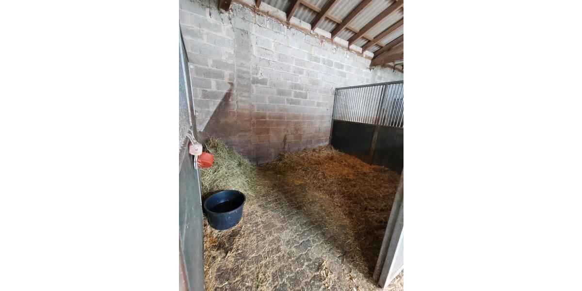 Einfamilienhaus Pronsfeld - 498.000&euro; | Angebot:26524524