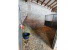 Einfamilienhaus Pronsfeld - 498.000&euro; | Angebot:26524524