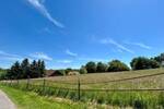 Bauernhaus, Landhaus Öhringen / Obermaßholderbach Obermaßholderbach - 4 Zimmer, 110 m&sup2;, 590.000&euro; | Angebot:26833696