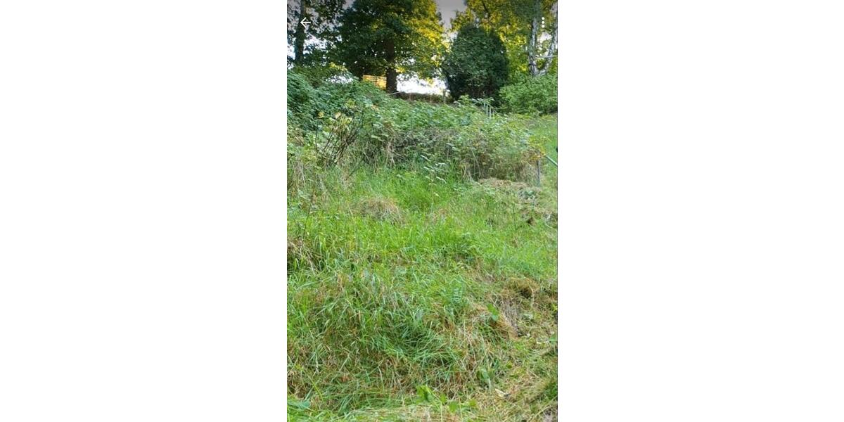 Grundstück Stadtroda - 10.000&euro; | Angebot:26089427