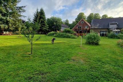 Vielseitiges 3 Familienhaus auf 1,5 ha großem Grundstück 7 zimmer