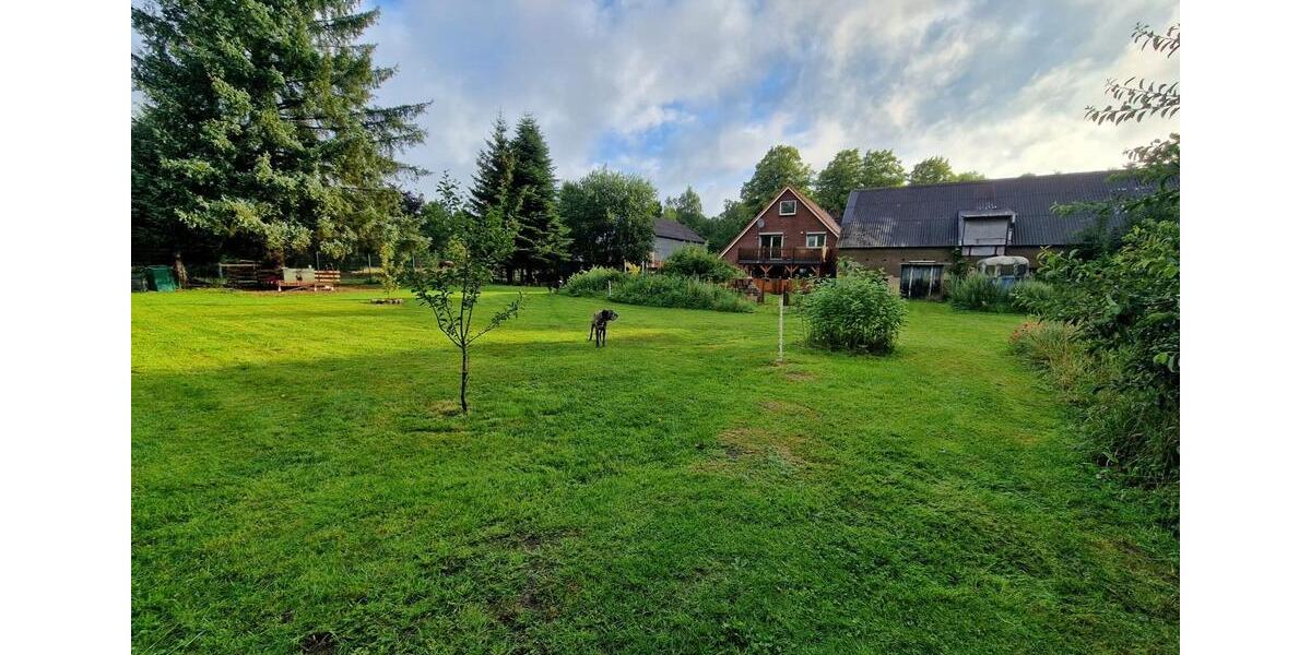 Vielseitiges 3 Familienhaus auf 1,5 ha großem Grundstück 7 zimmer