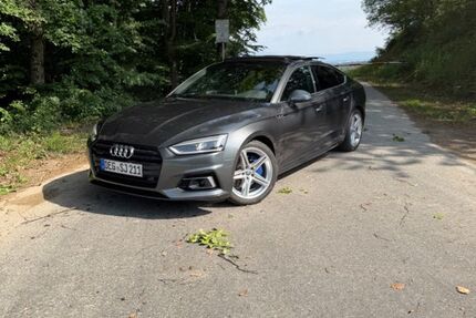 Audi A5 123.500 km 22.000 &euro; Winzer 94577