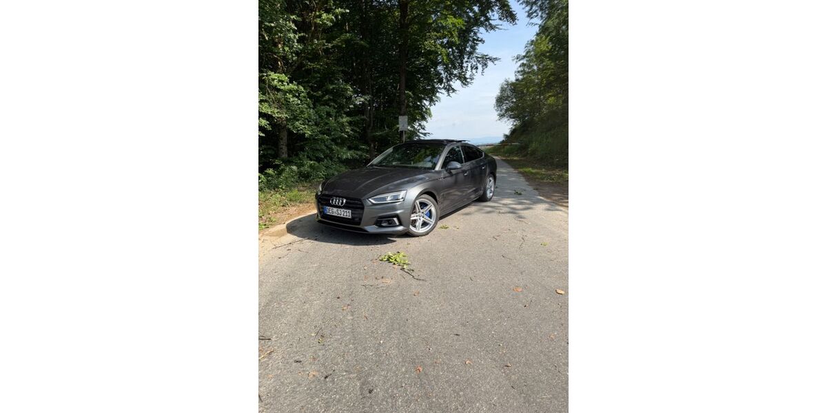 Audi A5 123.500 km 22.000 &euro; Winzer 94577