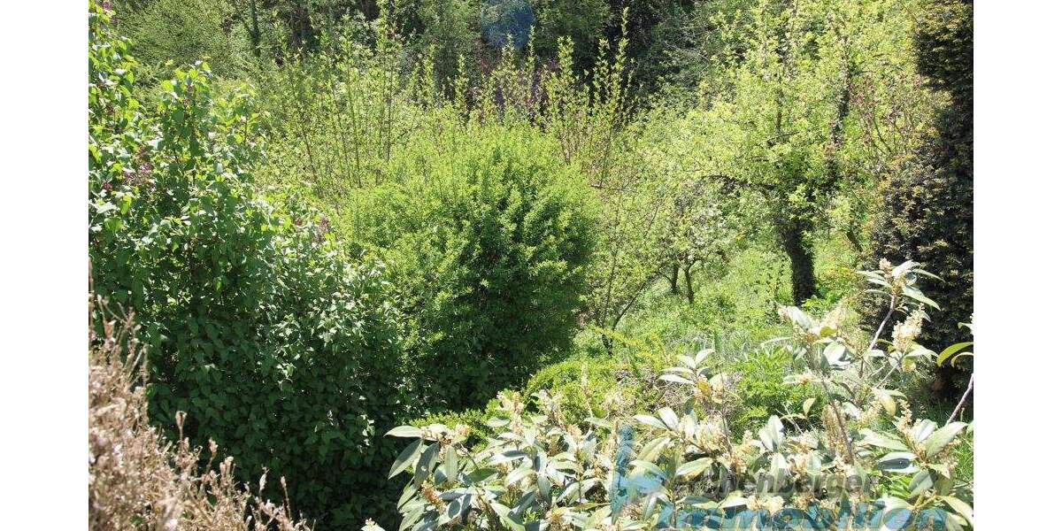 Grundstück Landau an der Isar / Poldering Poldering - 65.000&euro; | Angebot:25684674